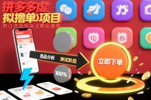 副业网分享:拼多多虚拟撸单项目,跳过选品和测试直接撸单-宝藏屋创业网