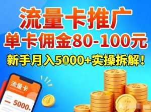 流量卡推广,单卡佣金80-100,新手月入5k+实操拆解!-宝藏屋创业网