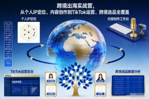 跨境出海实战营,从个人IP定位、内容创作到TikTok运营、跨境选品全覆盖-宝藏屋创业网