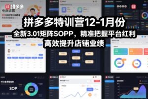 拼多多特训营12-1月份，全新3.01矩阵Sop，精准把握平台红利，高效提升店铺业绩-宝藏屋创业网