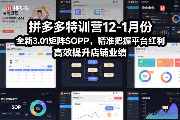 拼多多特训营12-1月份，全新3.01矩阵Sop，精准把握平台红利，高效提升店铺业绩-宝藏屋创业网