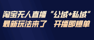 淘宝无人直播最新玩法，包含私域和公域两种玩法-宝藏屋创业网