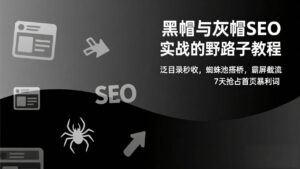 黑帽技术与灰帽SEO实战教程：快速收录、泛目录秒收，蜘蛛池搭桥，站群霸屏截流，7天抢占首页暴利词-宝藏屋创业网