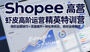 Shopee虾皮高阶运营精英特训营，高阶运营技巧+流量提升+转化率优化，助你业绩翻倍-宝藏屋创业网
