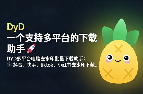 DYD多平台电脑去水印批量下载助手：抖音、快手、tiktok、小红书去水印下载-宝藏屋创业网