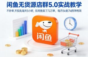 闲鱼无货源店群5.0实战教学，不补单，不投流，每天5小时，在闲鱼卖了几万单，每月5k到7k的净利润-宝藏屋创业网