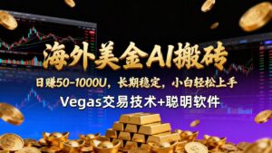 【海外美金AI搬砖】Vegas交易技术+聪明软件，日赚50-1000U，长期稳定，小白轻松上手。-宝藏屋创业网