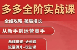 副业网分享：大炮·拼多多全阶实战课程(更新2026)-宝藏屋创业网