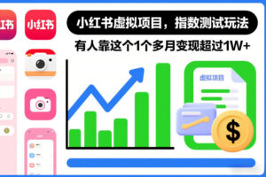 小红书虚拟项目，指数测试玩法，有人靠这个1个多月变现超过1W+-宝藏屋创业网