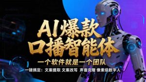 【IP爆款口播AI智能】–软件制作IP口播视频，不是扣子工作流。5分钟一条口播IP爆款视频，轻…-宝藏屋创业网