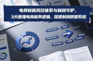 电商财税风控体系与利润守护，3天看懂电商税务逻辑，搭建利润防御系统-宝藏屋创业网