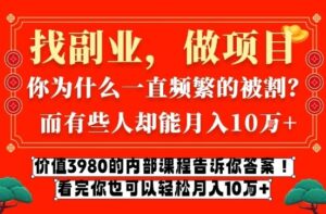 价值3980的网创内部课程，告诉你互联网创业月入10个W的秘密【揭秘】-宝藏屋创业网