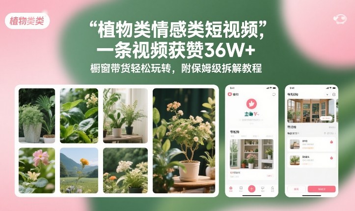 植物类情感类短视频，一条视频获赞36W+，橱窗带货轻松玩转，附保姆级拆解教程-宝藏屋创业网