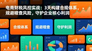 电商财税风控实战：3天构建合规体系，规避稽查风险，守护企业核心利润-宝藏屋创业网