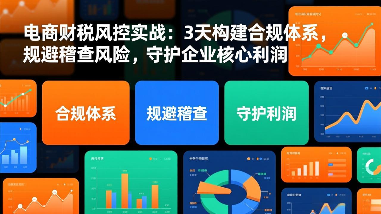 电商财税风控实战：3天构建合规体系，规避稽查风险，守护企业核心利润-宝藏屋创业网