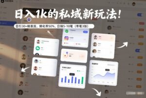 日入1k的私域新玩法:日引30+精准流,转化率50%,日销5-10笔(单笔3张)-宝藏屋创业网