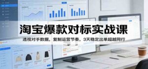 淘宝爆款对标实战课：透视对手数据，复制运营节奏，3天稳定出单超越同行-宝藏屋创业网