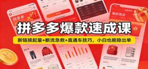 拼多多爆款速成课：新链接起量+断流急救+直通车技巧，小白也能稳出单-宝藏屋创业网