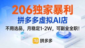 206独家暴利，拼多多虚拟AI店，不用选品，月稳定1-2W，可副业全职！-宝藏屋创业网