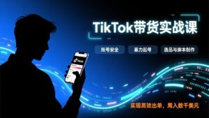 TikTok带货实战课，涵盖账号安全、暴力起号、选品与脚本制作，实现高效出单，周入数千美元-宝藏屋创业网