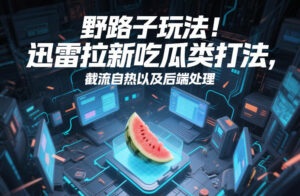 野路子玩法！迅雷拉新吃瓜类打法，截流自热以及后端处理-宝藏屋创业网