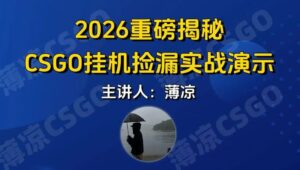 CSGO游戏挂机游戏搬砖最新升级，普通小白一部手机可日入300+当天见结果，支持验证-宝藏屋创业网