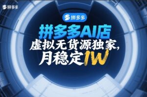 拼多多AI店，虚拟无货源独家，月稳定1W，2026年必做-宝藏屋创业网