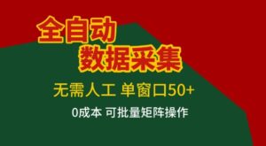 全自动数据采集项目，无需人工，单窗口可达50+收益，操作简单无难度，一个人也能轻松实现矩阵【揭秘】-宝藏屋创业网
