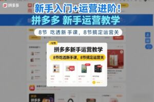 新手入门+运营进阶！拼多多新手运营教学，8节吃透新手课，8节搞定运营关-宝藏屋创业网