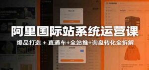 阿里国际站运营实战课：从店铺布局到TOP10旺铺，数据化运营，推广全攻略-宝藏屋创业网