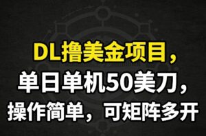 DL撸美金项目，单日单机50美刀，操作简单，可矩阵多开-宝藏屋创业网
