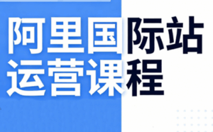 张国儒·阿里国际站运营课程(更新2026)-宝藏屋创业网