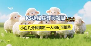 【新一期】小程序订阅_小白几分钟70-80r,可矩阵(已测到账)-宝藏屋创业网