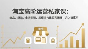 淘宝高阶运营私家课：选品、爆款、全店动销，三模块构建盈利闭环，月入破5万(更新26年2月-宝藏屋创业网