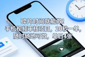 碎片时间就能做！手机视频审核项目，20秒一单，随时随地可做，单日4张+【揭秘】-宝藏屋创业网