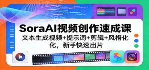 SoraAI视频创作速成课：文本生成视频+提示词+剪辑+风格化，新手快速出片-宝藏屋创业网