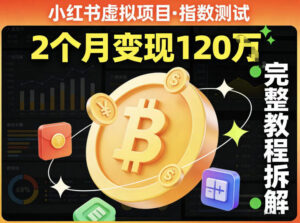 小红书虚拟项目——指数测试，有人靠这个项目2月变现120个，完整教程拆解-宝藏屋创业网