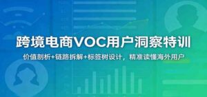 跨境电商VOC用户洞察特训:价值剖析+链路拆解+标签树设计,精准读懂海外用户-宝藏屋创业网