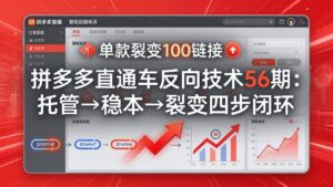 拼多多直通车反向技术56期：托管→稳本→裂变四步闭环，单款裂变100链接抢占核心流量-宝藏屋创业网