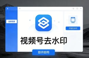 视频号去水印软件，电脑软件，即开即用-宝藏屋创业网