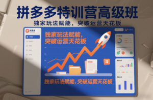 拼多多特训营高阶班，独家玩法赋能，突破运营天花板(更新26年3月)-宝藏屋创业网