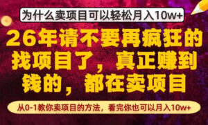 为什么真正賺到钱的都在卖项目,从0-1教你卖项目的方法,看完你也可以月入10w+【揭秘】-宝藏屋创业网