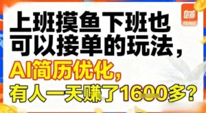 上班摸鱼下班也可以接单的玩法，AI简历优化，有人一天挣了1.6k？-宝藏屋创业网
