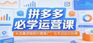 拼多多必学运营课：从流量逻辑到付费推广，七天日出500单-宝藏屋创业网
