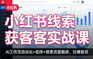 小红书线索获客实战课,AI工作流自动化+矩阵+搜索流量霸屏,拉爆客资-宝藏屋创业网