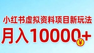 小红书虚拟资料项目最新玩法，月入10000＋-宝藏屋创业网