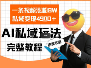 单条视频涨粉8W！私域变现4.9k，利用AI做私域的一个玩法-宝藏屋创业网