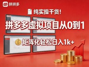 纯实操干货!拼多多虚拟项目从0到1,矩阵化轻松日入1k+【揭秘】-宝藏屋创业网