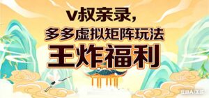 v叔亲录，多多虚拟矩阵玩法，王炸福利限时领取-宝藏屋创业网