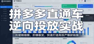 拼多多直通车逆向投放实战：托管精细推，阶梯裂变，快速打造高投产爆款链接-宝藏屋创业网